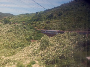 Durch dichte Vegetation fährt der Zug.